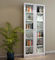 Kundengebundenes Stahlbüromöbel-Büroglastürmodell Bücherschrank-Verkaufsmöbel